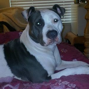 Meet your Posher, Stephen